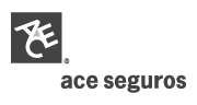 ACE-Seguros